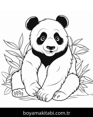 Panda boyama sayfası – keyifli zaman, renkli çizimler
