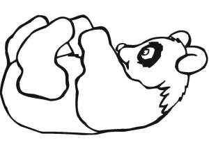 Panda boyama sayfası,  coloring page, Baş Aşağı Asılı Dev Panda, 