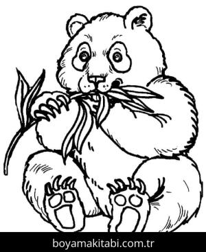Panda boyama sayfası – evde etkinlik, ücretsiz yazdır
