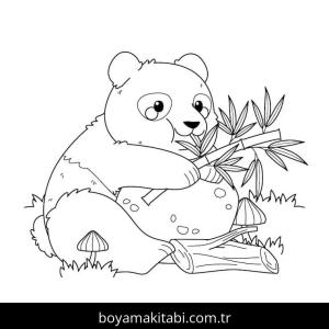 Panda boyama sayfası – keyifli zaman, renkli çizimler