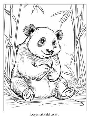 Panda Boyama