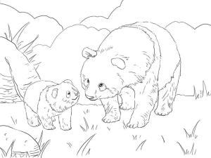 Panda boyama sayfası,  coloring page, Bebekli Anne Panda, 