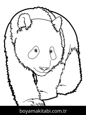 Panda boyama sayfası – boyama etkinliği, çocuk aktivitesi
