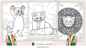 Panda boyama sayfası – çocuk aktivitesi, PDF indir