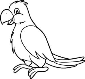 Papağan boyama sayfası,  coloring page, Eğlenceli Papağan, 