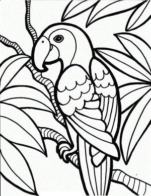 Papağan boyama sayfası,  coloring page, Papağan Yetişkin Içindir, 