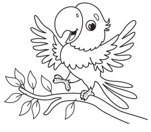 Papağan boyama sayfası,  coloring page, İyi Papağan, 