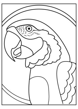 Papağan boyama sayfası,  coloring page, Papağan Portresi, 