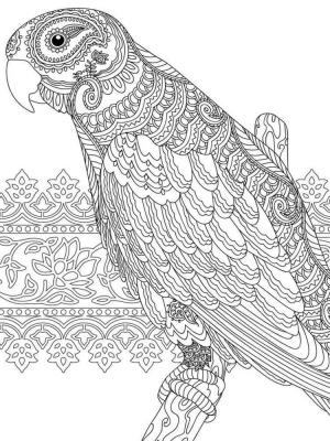 Papağan boyama sayfası,  coloring page, Papağan Mandalası, 