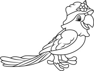 Papağan boyama sayfası,  coloring page, Papağan, 