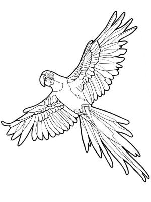 Papağan boyama sayfası,  coloring page, Papağan Uçan, 