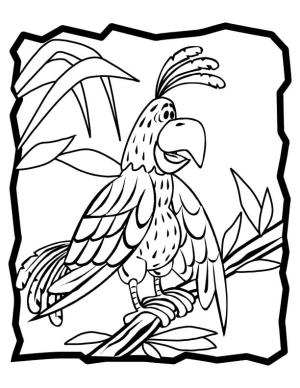 Papağan boyama sayfası,  coloring page, Ağaçta Karikatür Papağan, 