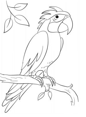 Papağan boyama sayfası,  coloring page, Daldaki Sisserou Papağanı, 