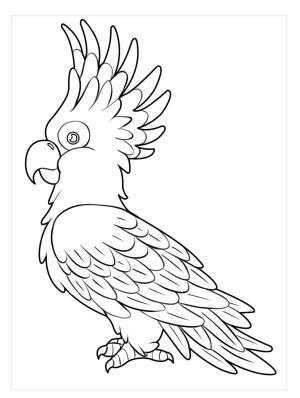 Papağan boyama sayfası,  coloring page, Büyük Papağan, 