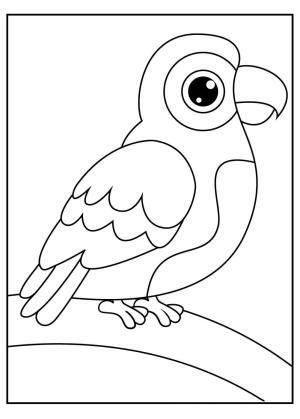 Papağan boyama sayfası,  coloring page, Bebek Papağan, 