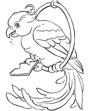 Papağan boyama sayfası,  coloring page, Evde Beslenen hayvan Papağan, 