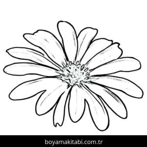 Papatya boyama sayfası – PDF indir, sevimli karakter