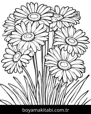 Papatya boyama sayfası,  coloring page, , 