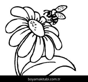 Papatya boyama sayfası – boyama çalışması, yaratıcılığı geliştirir