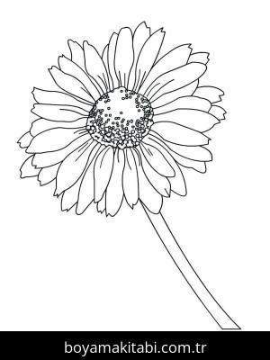 Papatya boyama sayfası – boyama etkinliği, çocuk aktivitesi