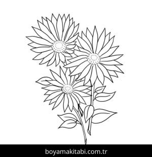 Papatya boyama sayfası – ücretsiz yazdır, boyama etkinliği