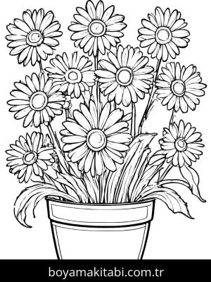 Papatya boyama sayfası,  coloring page, , 