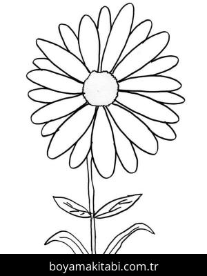 Papatya boyama sayfası – yaratıcılığı geliştirir, keyifli zaman