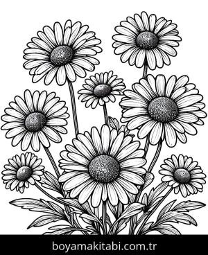 Papatya boyama sayfası,  coloring page, , 