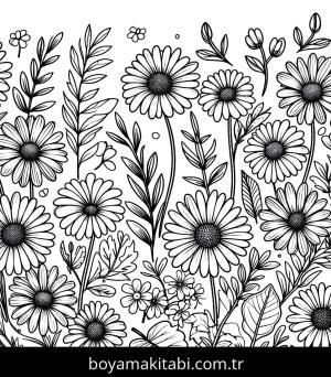 Papatya boyama sayfası,  coloring page, , 