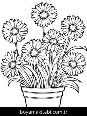 Papatya boyama sayfası,  coloring page, , 