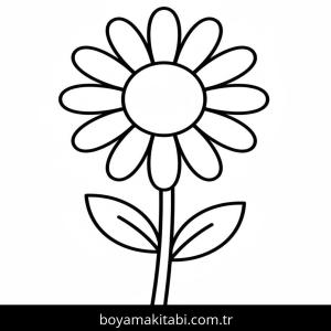 Papatya boyama sayfası – boyama etkinliği, çocuk aktivitesi