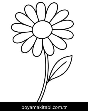 Papatya boyama sayfası – sanatsal çalışma, çocuklar için