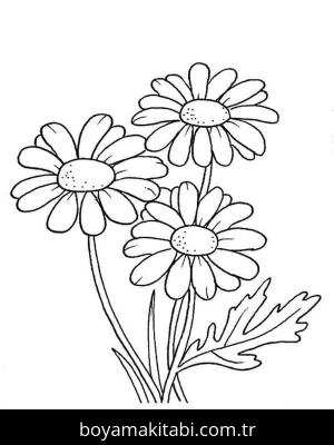Papatya boyama sayfası – eğitici aktivite, yaratıcılık