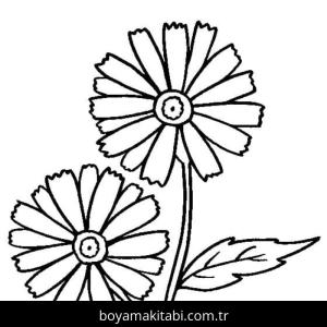 Papatya boyama sayfası – sanatsal çalışma, çocuklar için