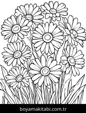Papatya boyama sayfası,  coloring page, , 