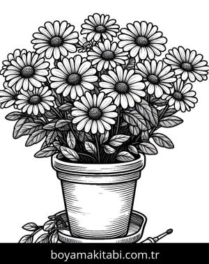 Papatya boyama sayfası,  coloring page, , 