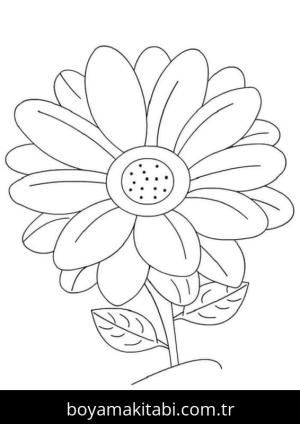 Papatya boyama sayfası – yaratıcılık, eğlenceli etkinlik