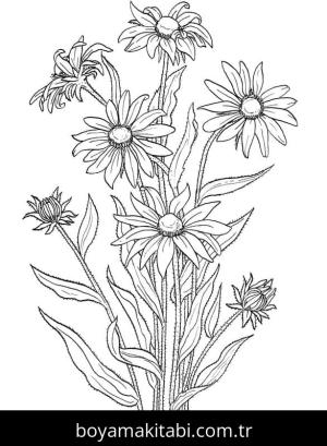 Papatya boyama sayfası – yaratıcılığı geliştirir, keyifli zaman