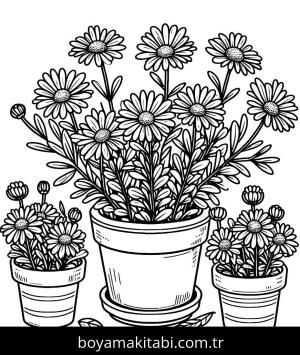 Papatya boyama sayfası,  coloring page, , 