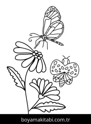 Papatya boyama sayfası – evde etkinlik, ücretsiz yazdır