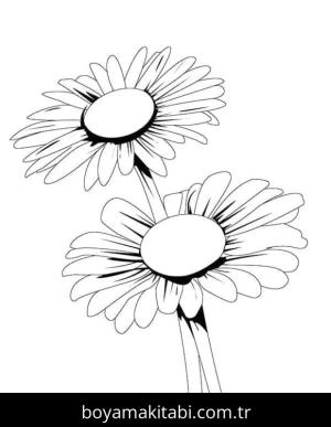 Papatya boyama sayfası – PDF indir, sevimli karakter