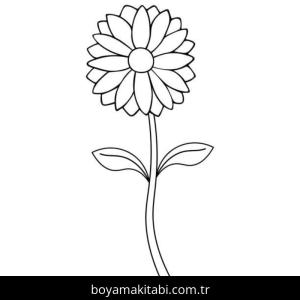 Papatya boyama sayfası – renkli çizimler, okul öncesi