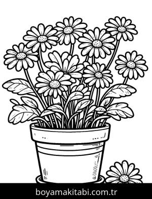 Papatya boyama sayfası,  coloring page, , 
