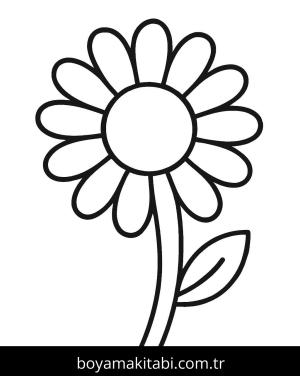Papatya boyama sayfası – eğitici aktivite, yaratıcılık