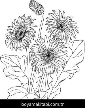 Papatya boyama sayfası – okul öncesi, evde etkinlik