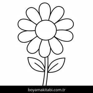 Papatya boyama sayfası – eğlenceli etkinlik, el becerilerini geliştirir