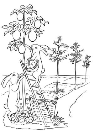 Paskalya Tavşanı boyama sayfası,  coloring page, Sevimli Paskalya Tavşanları, 