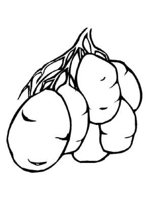 Patates boyama sayfası,  coloring page, Altı Patates, 