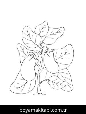 Patlıcan boyama sayfası – evde etkinlik, ücretsiz yazdır