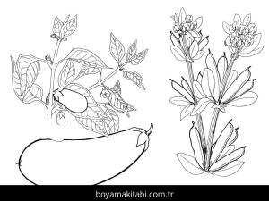 Patlıcan boyama sayfası – eğlenceli etkinlik, el becerilerini geliştirir